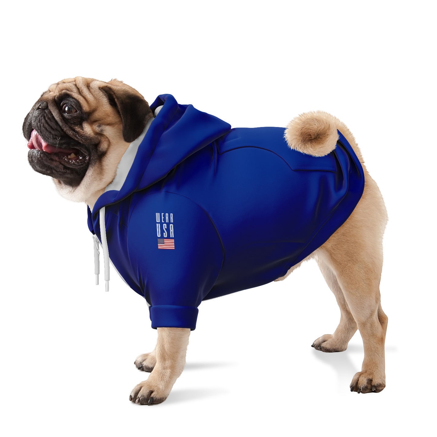 CONNECTICUT Dog Hoodie