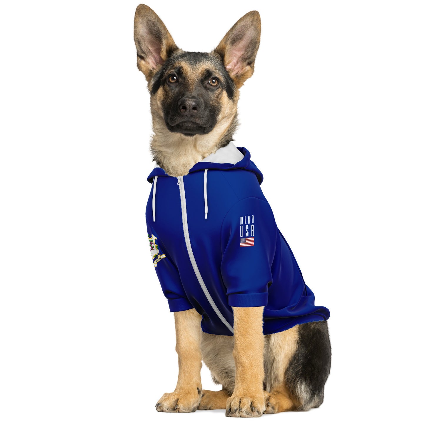 CONNECTICUT Dog Hoodie