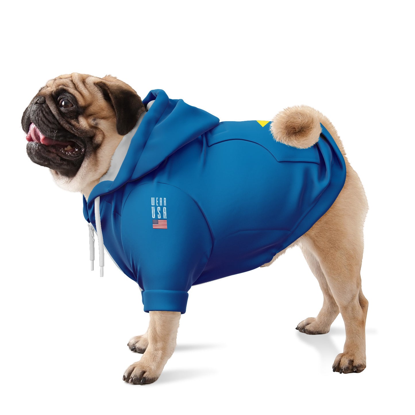 DELAWARE Dog Hoodie