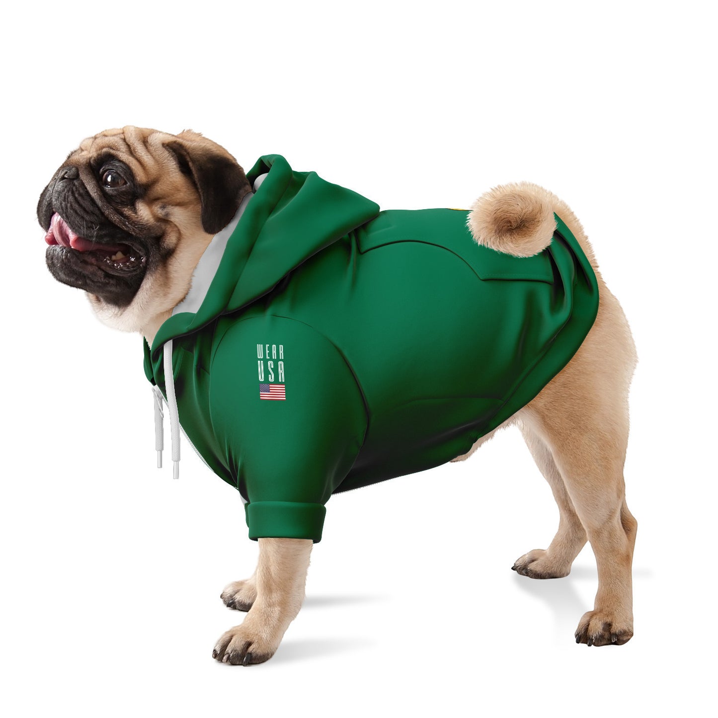 WASHINGTON Dog Hoodie