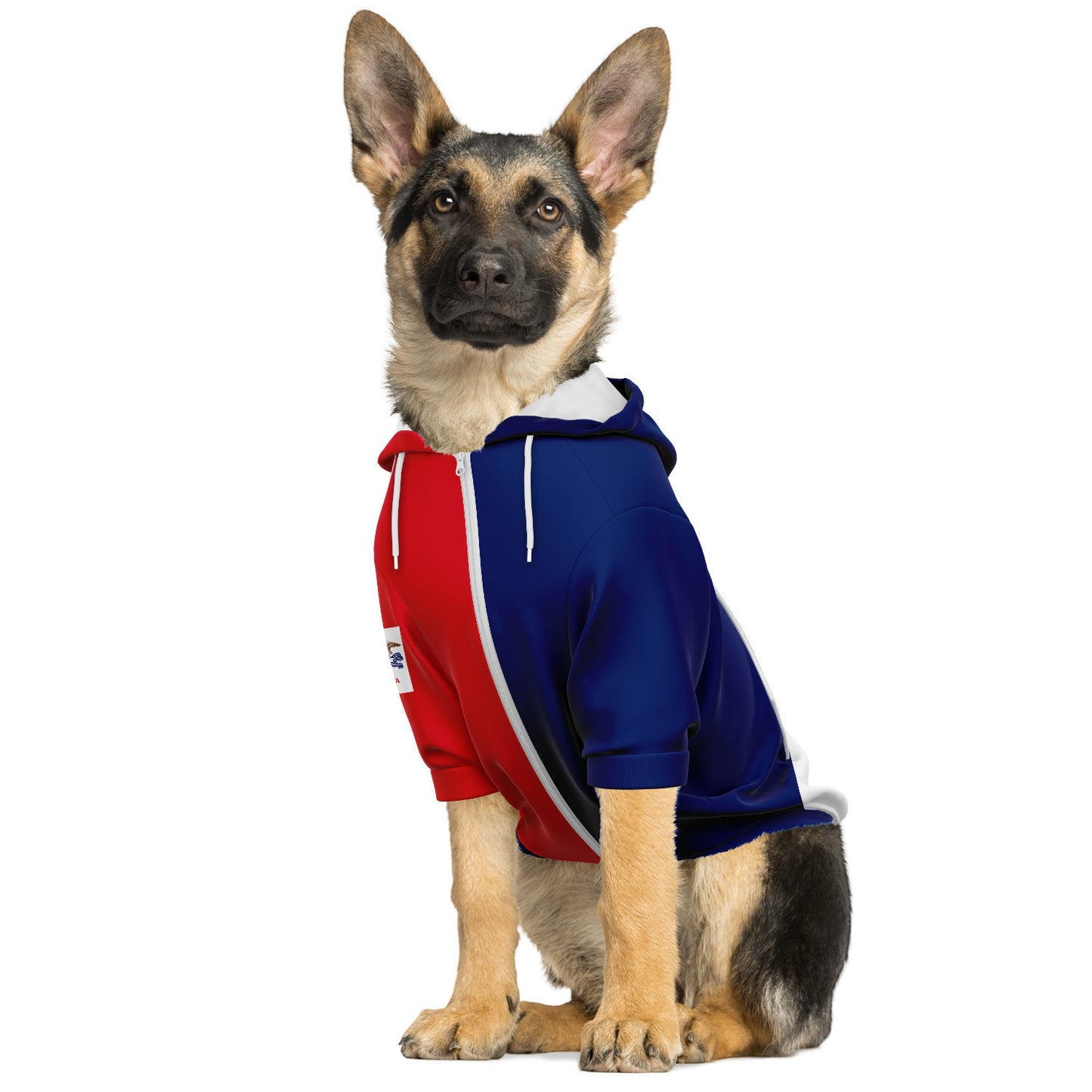 IOWA Dog Hoodie