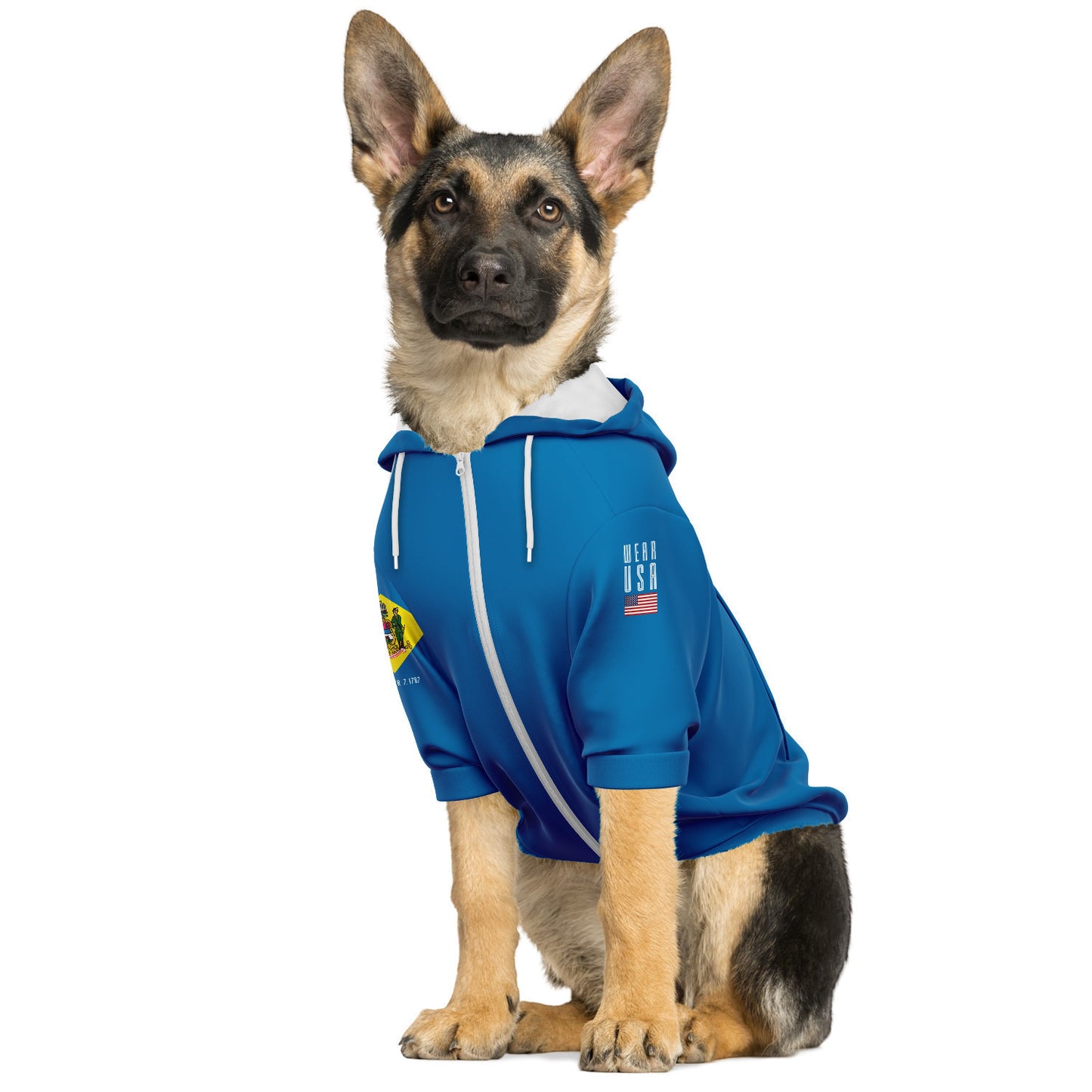 DELAWARE Dog Hoodie