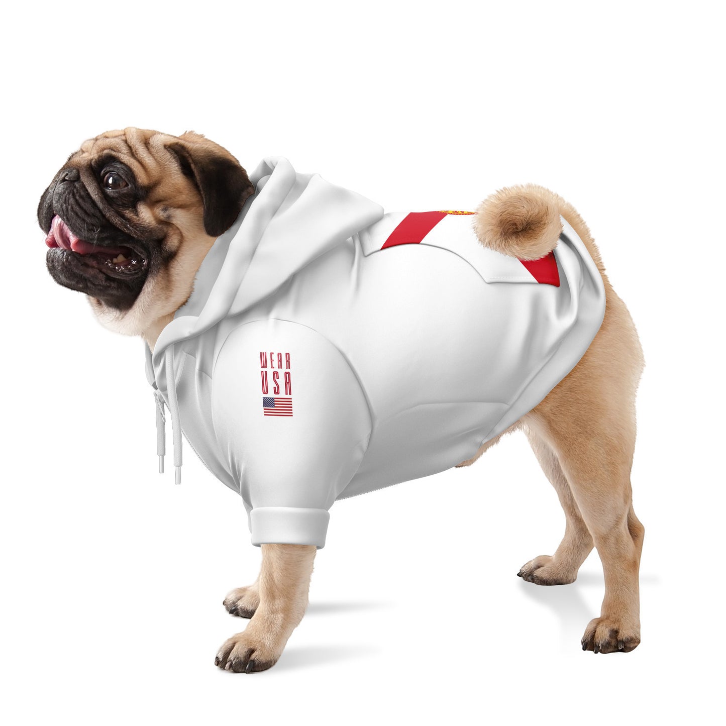 FLORIDA Dog Hoodie