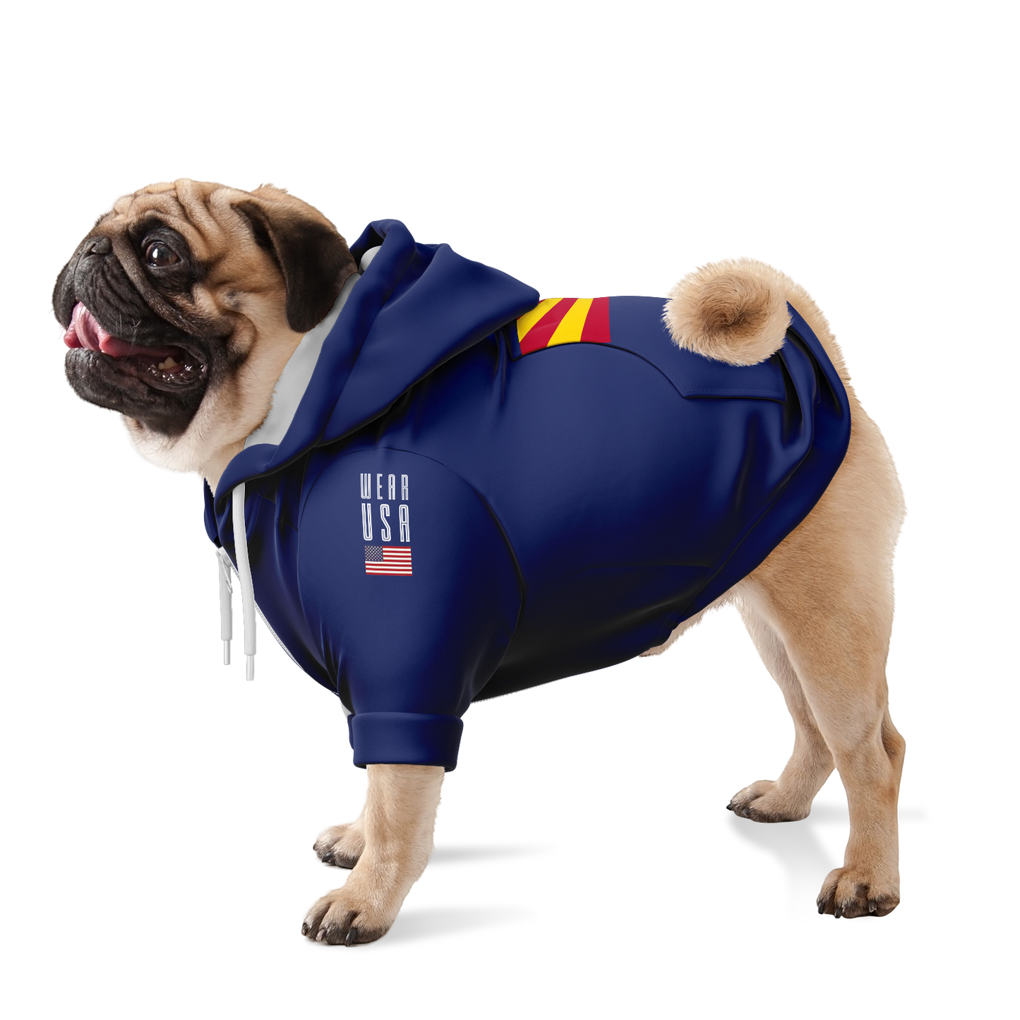 ARIZONA Dog Hoodie