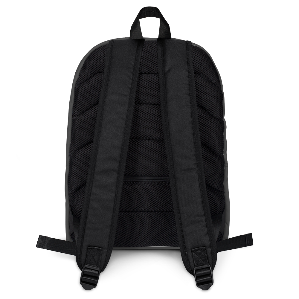 WEAR USA Grey Backpack