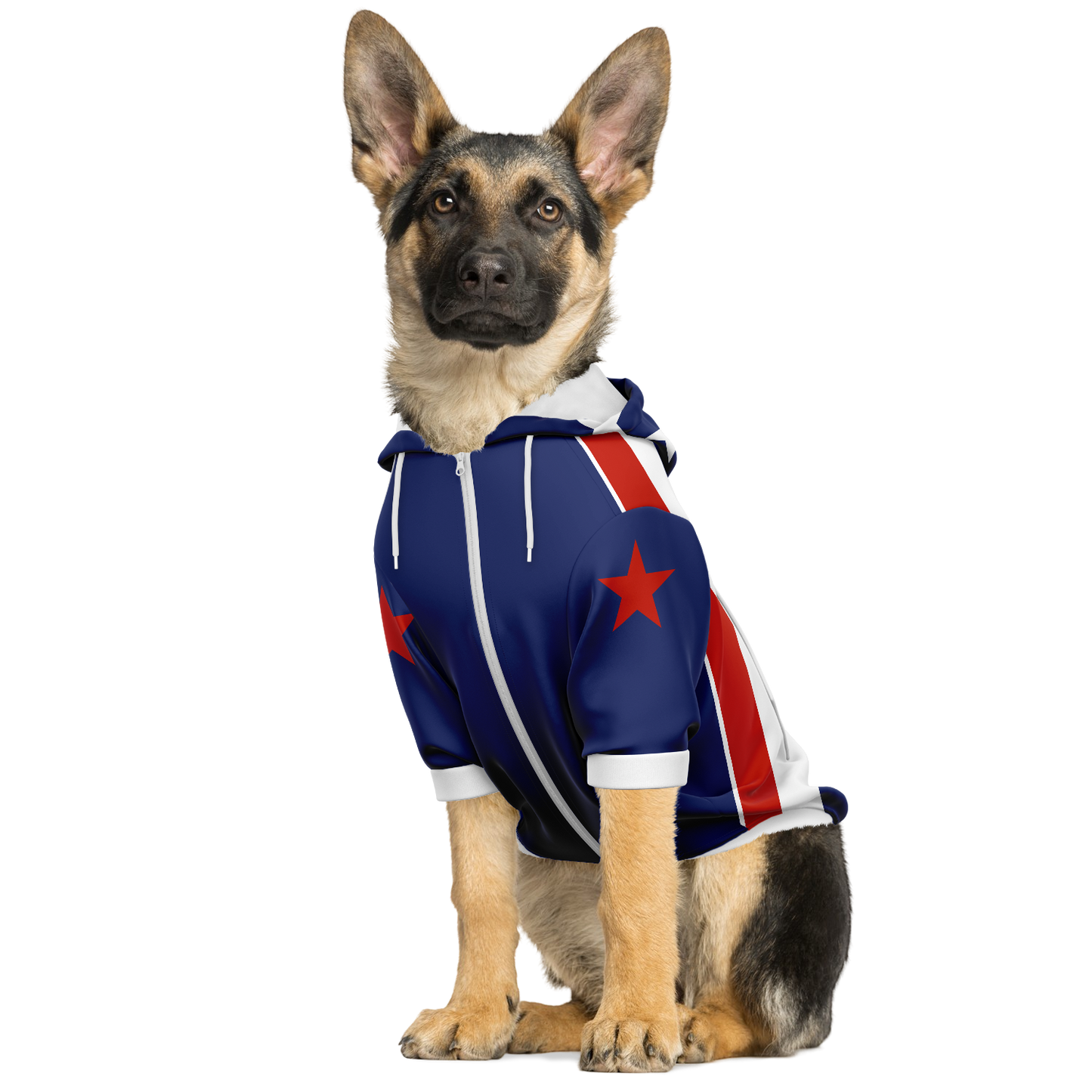 STARS & BARS Dog Hoodie