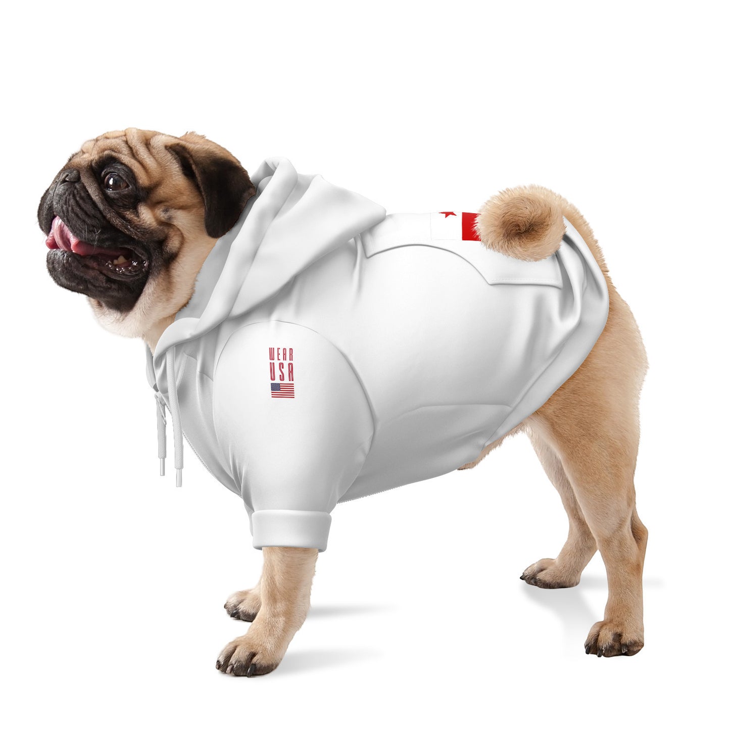 WASHINGTON D.C Dog Hoodie